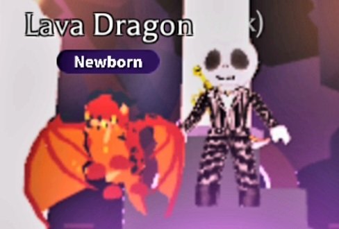 adopt_amanda's tweet photo. Good morning everyone... 😊 Giveaway Time! 4 Winners will receive a Lava Dragon and a Ride and Fly potion! Rules: Just Comment Done ✔️ to Enter Giveaway! ONE Entry per person please!  Starts now and Ends Sunday October 9th at 6pm my time. Good luck everyone 😊 https://t.co/WJRUjs5e1S