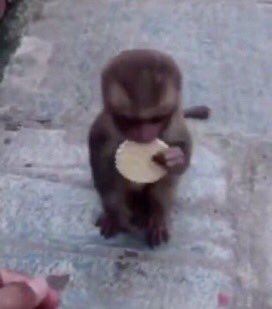 kooaIity's tweet photo. probably not gonna be active on this acc anymore if anyone wants my local acc lmk https://t.co/qcEWFmdxcU