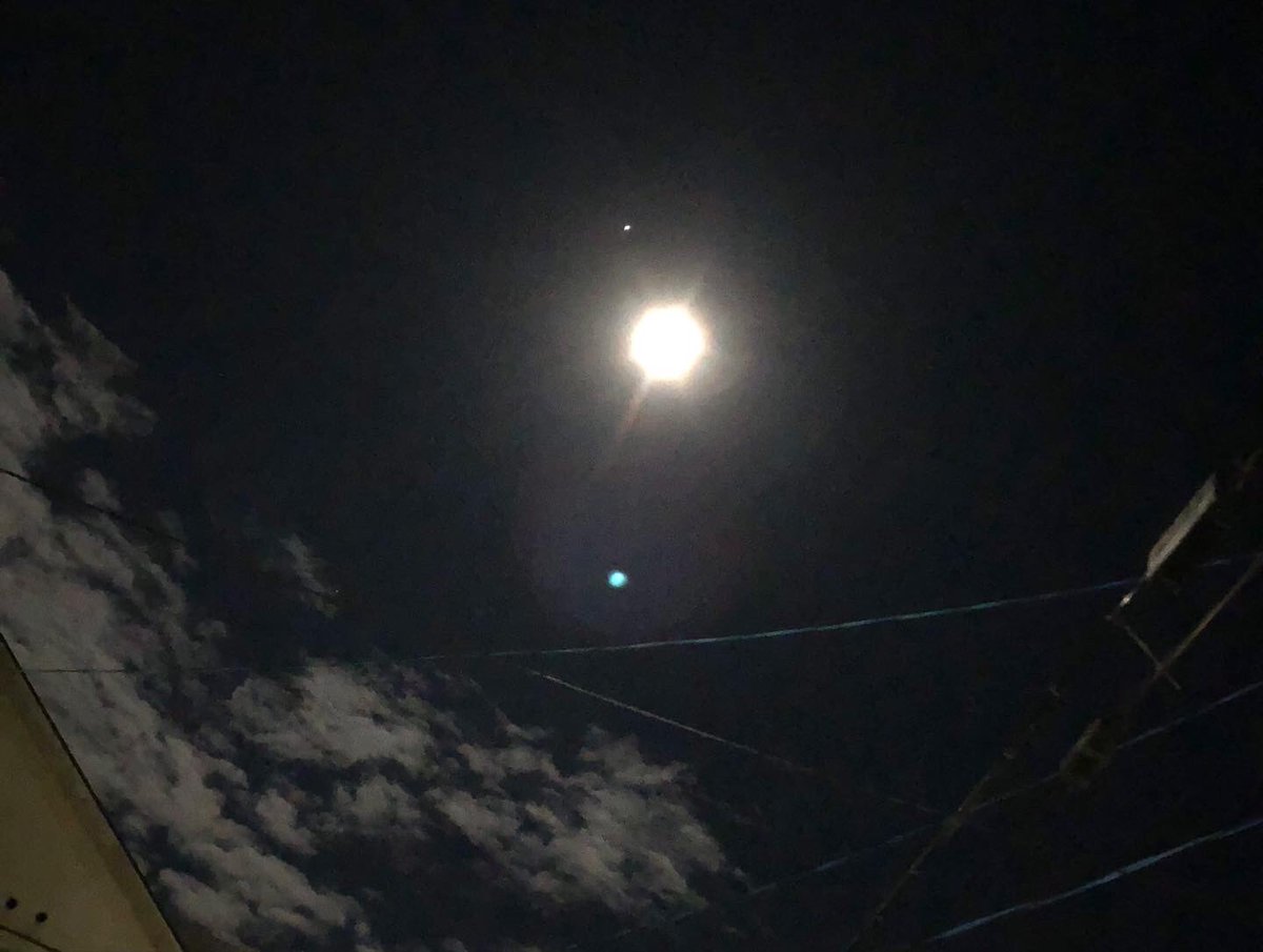 abe18997433's tweet photo. 月がとっても青いので～
十三夜　栗名月のお月見
出羽大橋からの最上川の川面に映る
月見ラン

#志幡
#酒田市
#日本料理
#山居倉庫
#テイクアウト
#弁当
#山形県
#人参の飾り切り　
#食の都庄内
#庄内たび https://t.co/vxTFep4FRQ