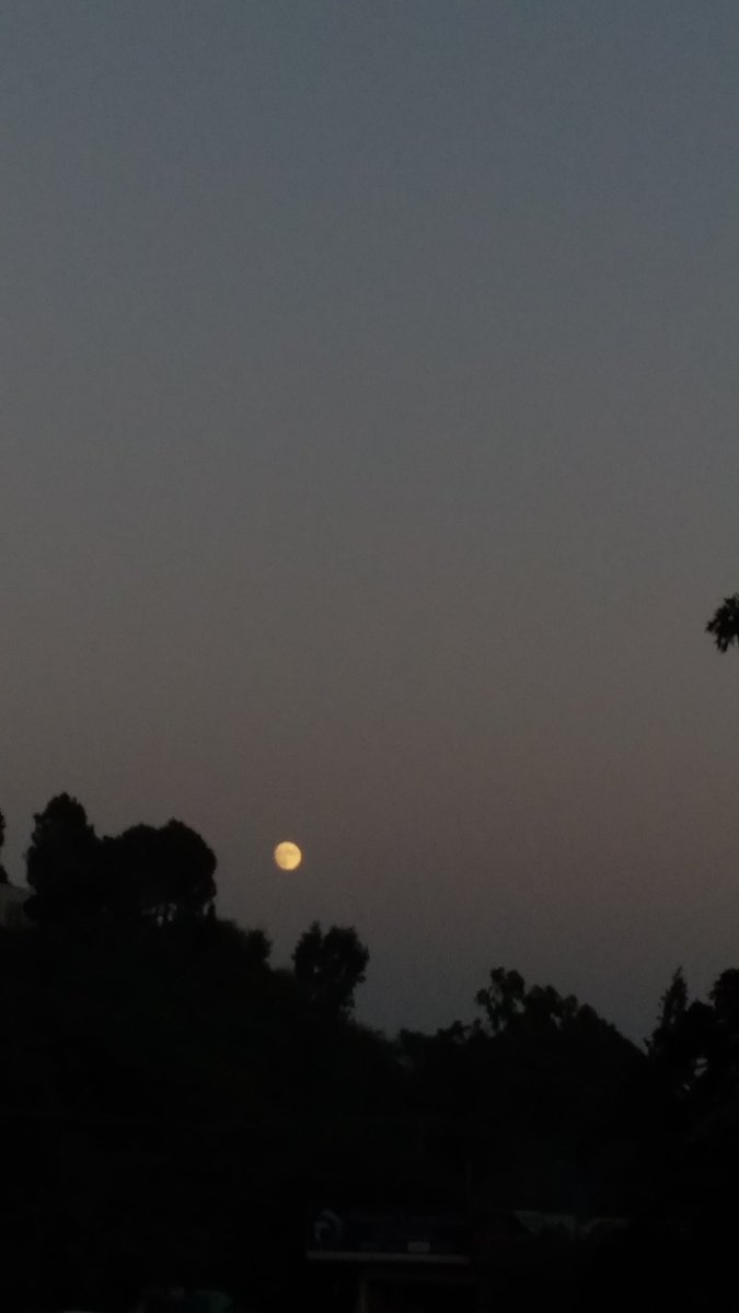 Moon looks so prettyyyy