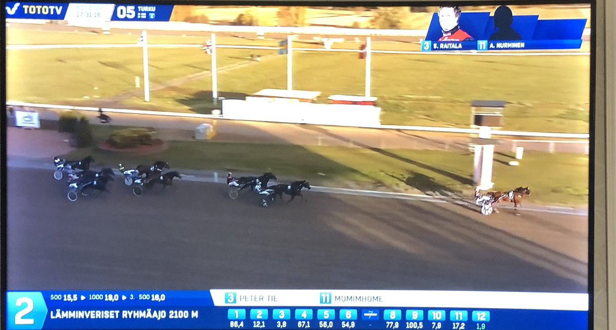 MarjoPuumala's tweet photo. #ravit Olipa huikea esitys Peter Tie! Ja kiitos @anttipylkkanen kauniista sanoista, hevoskasvatus on meille sydämenasia. Onnea @NurminenAnssi kaksoisvoitosta! 💪🏼 https://t.co/2A2ZTopqbG