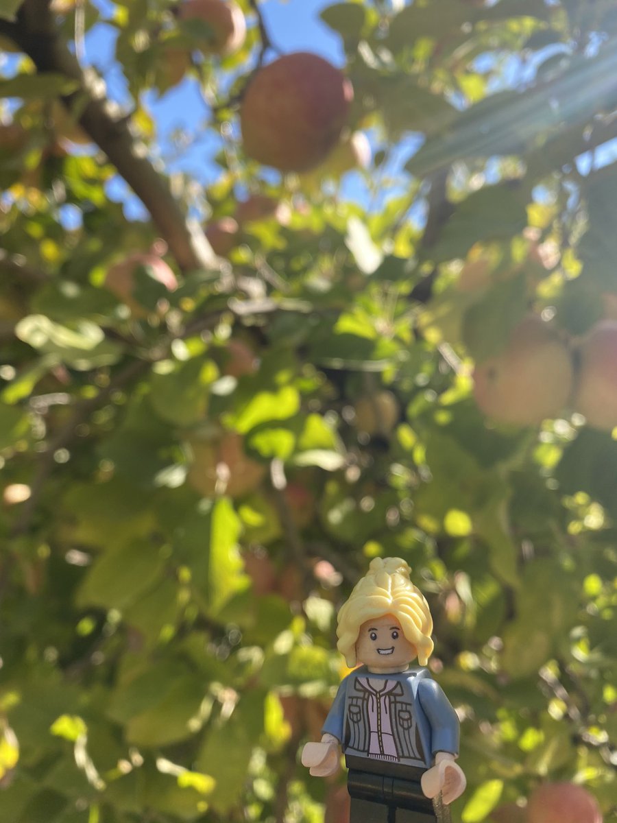 LegoForages's tweet photo. Enjoying the cool #mountain morning while #applepicking in north Georgia at Red Apple Barn.  Time to make an #applepie! 

#SpookyGirlFall #HappyFallYall #BasicWhiteGirl @RedAppleBarn https://t.co/odeXC2D3zD