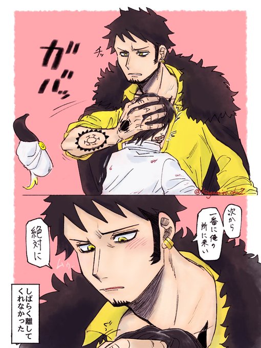 #OP夢  #OPプラス

夢主が傷つけられたのも、自分を頼ってくれなかったのも全部ムカつく🐯

⚠️夢主姿あり 