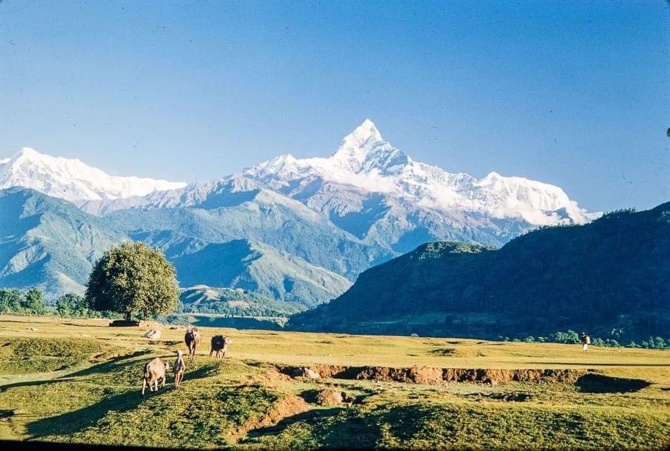 शुभ रात्रि तथा शुभ सपनी काे कामना 
🙏, जय श्री राधे कृष्ण🌺💐  🙏