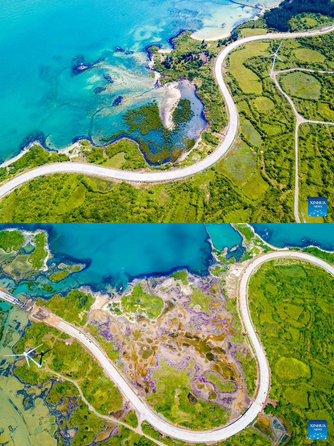zlj517's tweet photo. Autumn scenery:
🚩Rime-covered trees in Jilin
🚩Snow-covered Arxan City in Inner Mongolia
🚩Coastal highway under construction in Hainan
🚩Agriculturally based tourism in Guizhou https://t.co/duvu0fG9ym