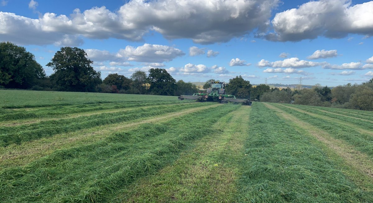 George_Pearman's tweet photo. Better late than never. #3rdcut https://t.co/ZKaB4UekCa