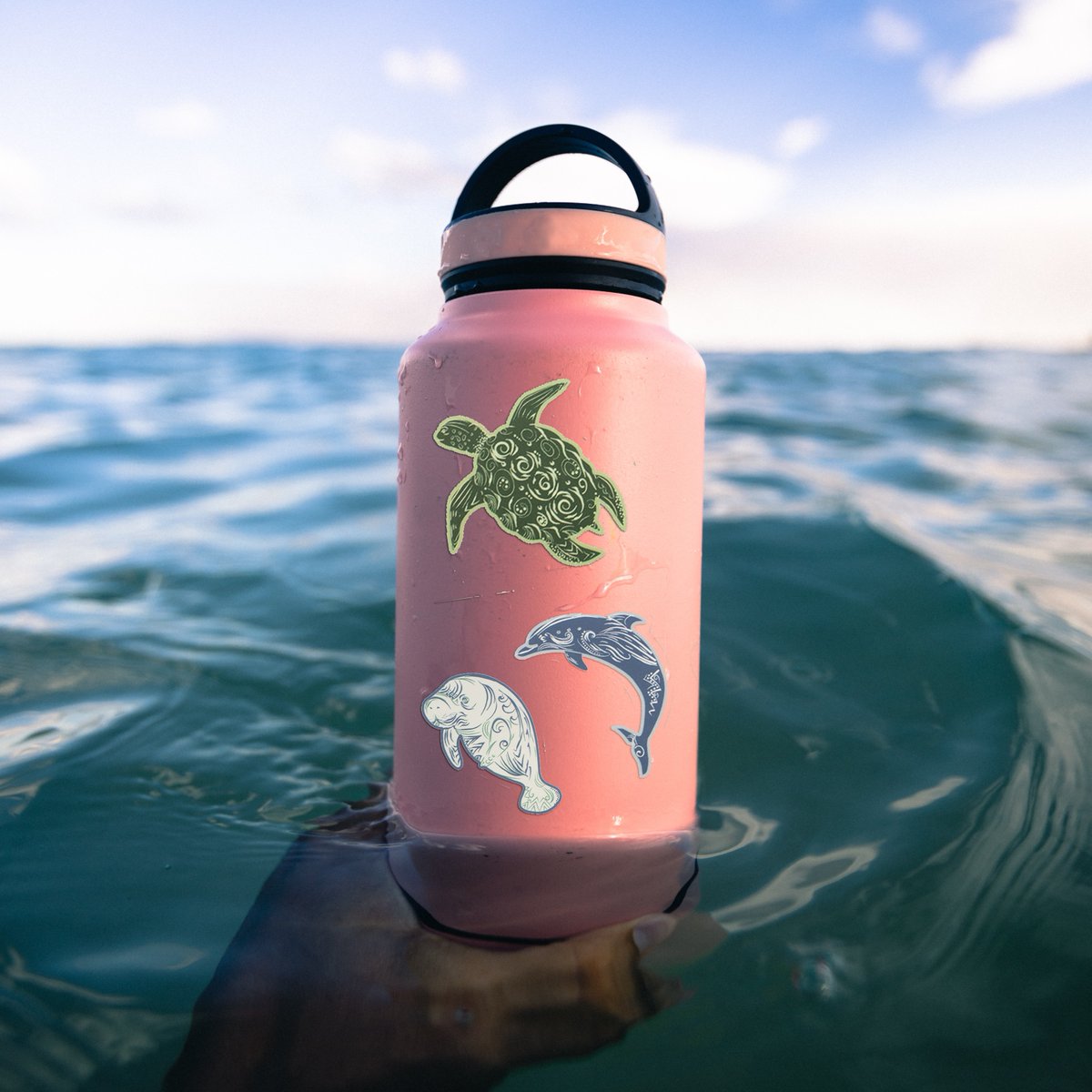 MLRProject's tweet image. Save the ocean in style with our Marine Life Rescue Project stickers! Dress up your reusable water bottle, laptop, notebooks and more. fal.cn/3szl7