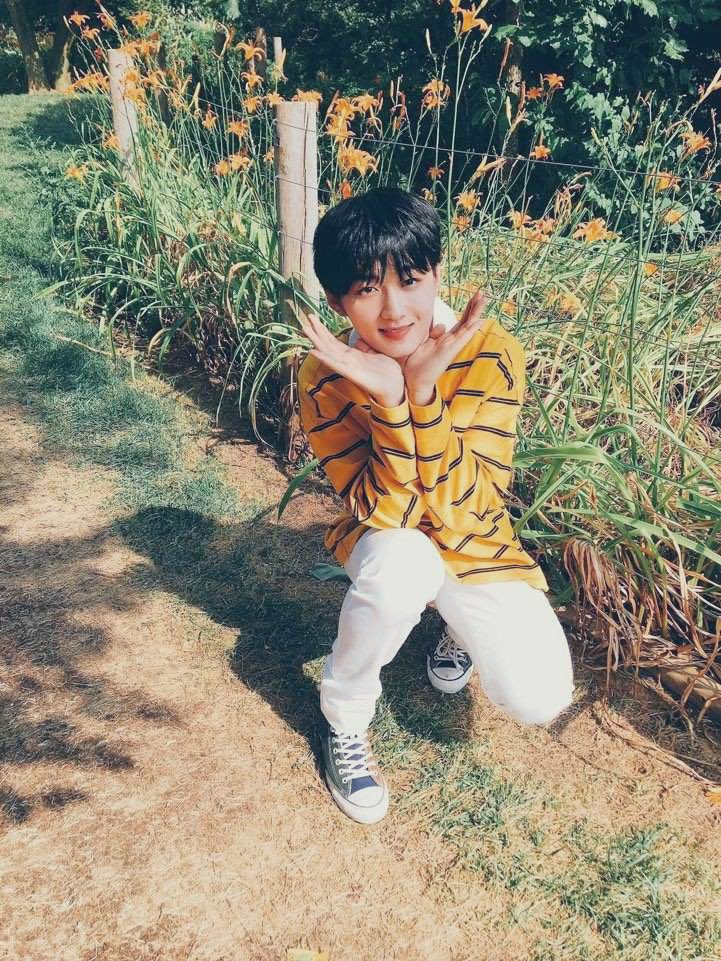 hezzitation's tweet photo. hi sugar 🌱
[ #verrerselcaday @by_verivery @the_verivery ] https://t.co/2JNonNOTvW