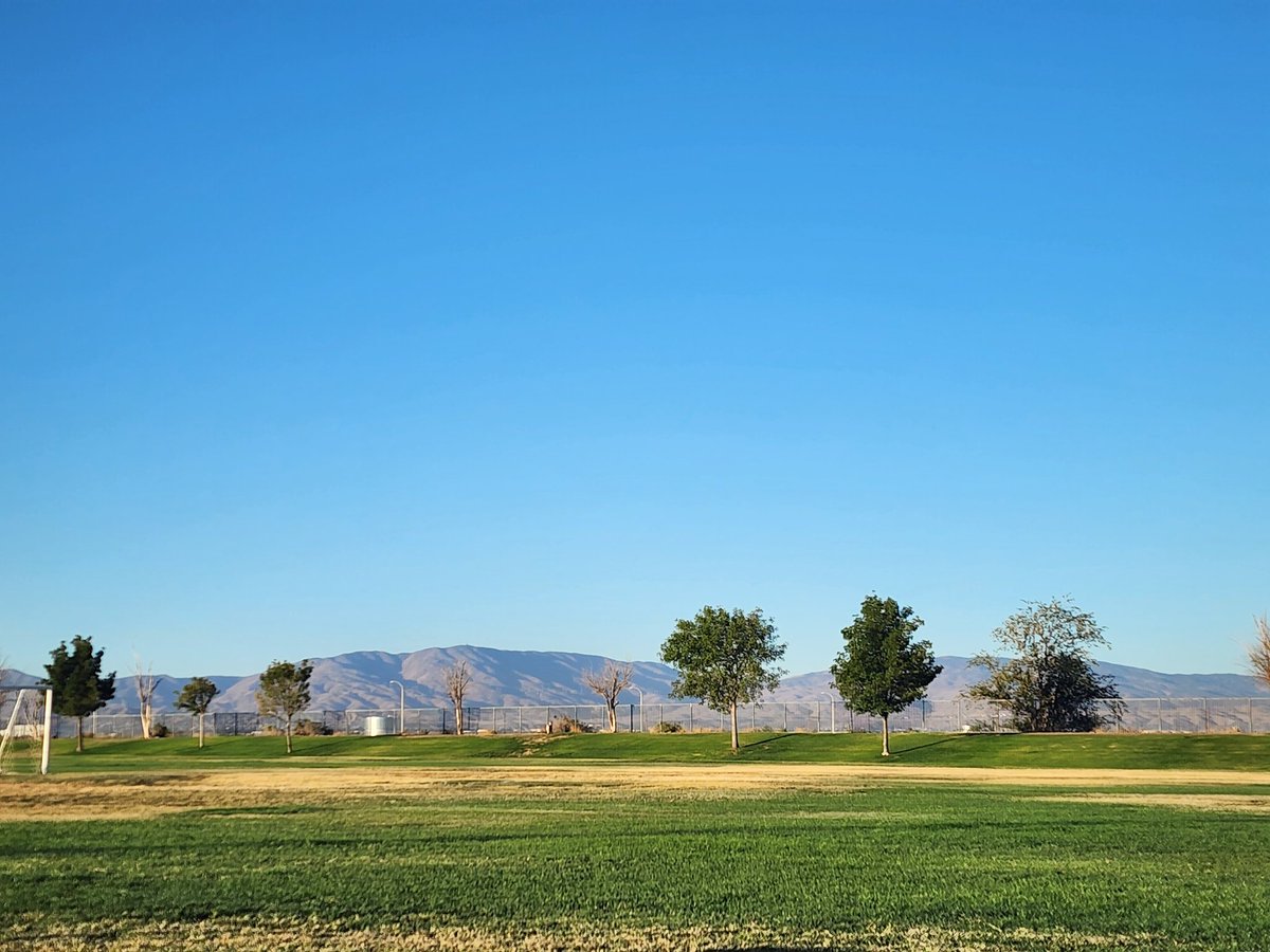 Tracy Scott Kelly tweet media