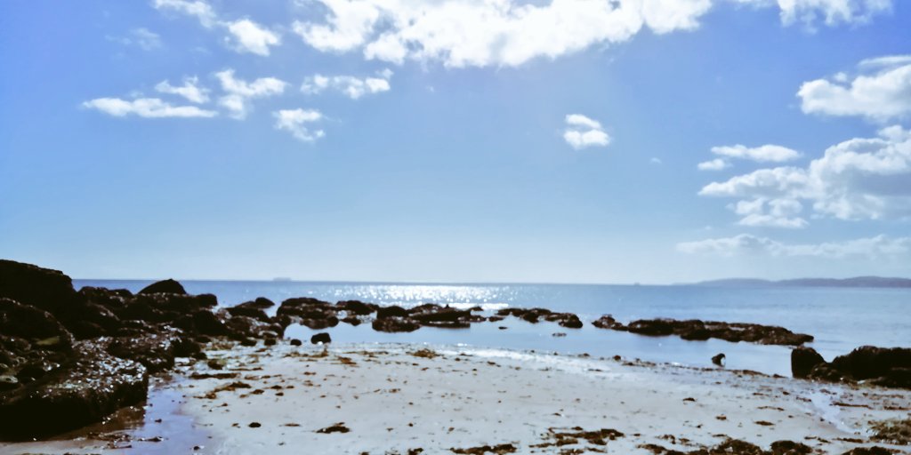 Vics_Echidna's tweet image. My favourite end of #Teignmouth beach 😎 Much quieter as you move north, away from the pier. East facing beach so you feel the strong heat of the 🌅 Pampas grass on the 🚅 line looking fine too 🌾#MoveMore #Nature 💚