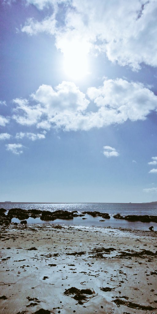 Vics_Echidna's tweet image. My favourite end of #Teignmouth beach 😎 Much quieter as you move north, away from the pier. East facing beach so you feel the strong heat of the 🌅 Pampas grass on the 🚅 line looking fine too 🌾#MoveMore #Nature 💚