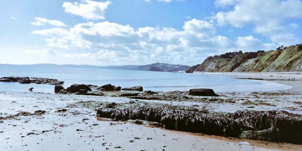 Vics_Echidna's tweet image. My favourite end of #Teignmouth beach 😎 Much quieter as you move north, away from the pier. East facing beach so you feel the strong heat of the 🌅 Pampas grass on the 🚅 line looking fine too 🌾#MoveMore #Nature 💚
