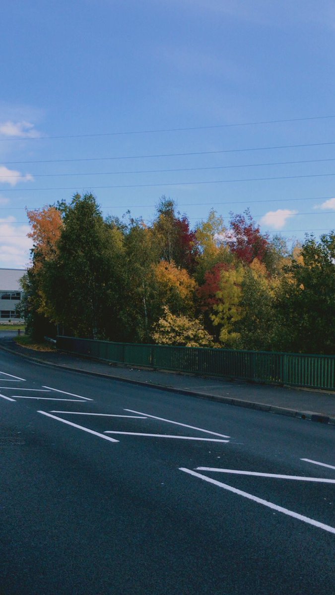 Rachelsquare's tweet photo. 🍁🍂 https://t.co/49bs3y2Fby