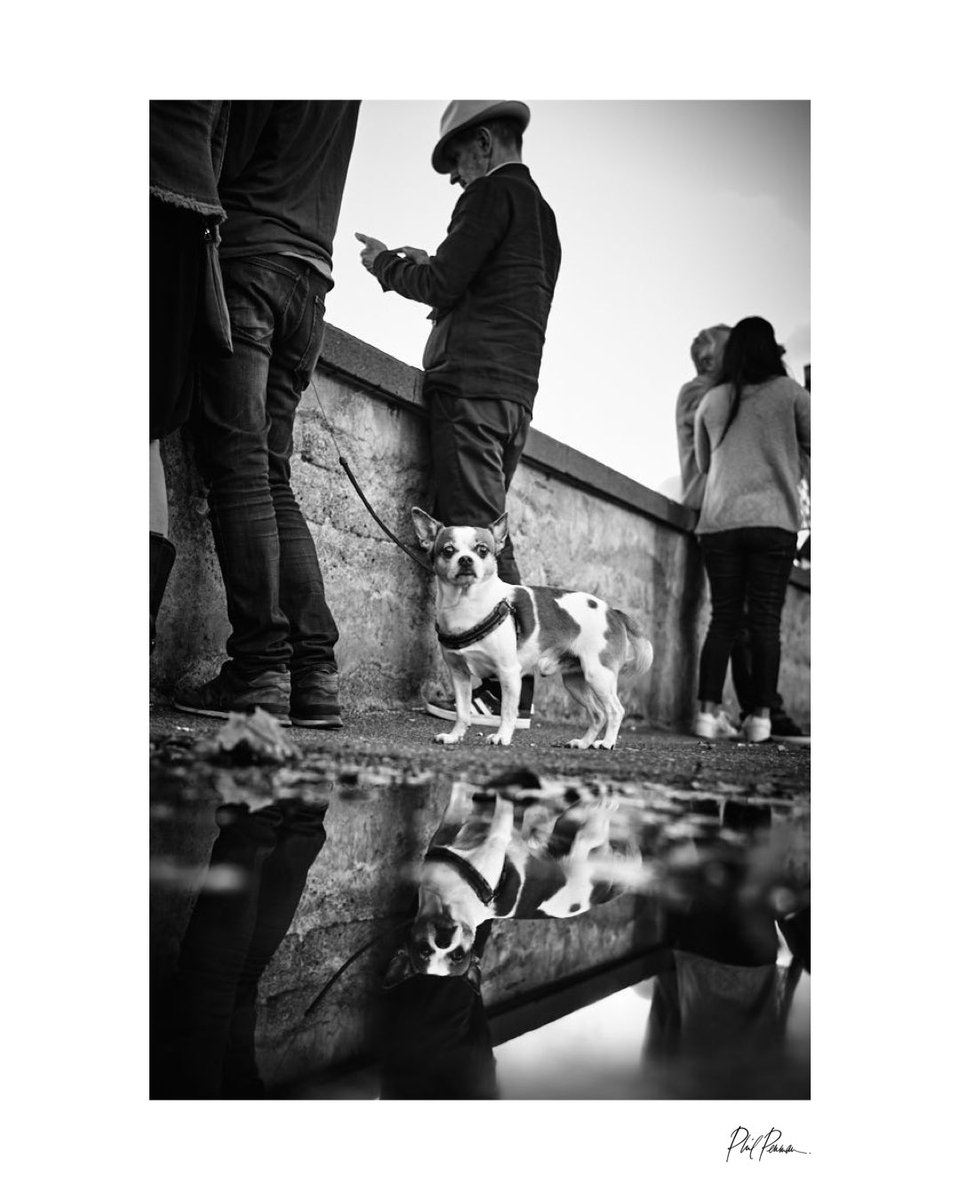 Rome. Italy Copyright Phil Penman #Leica #streetphotography #rome #blackandwhitephotography