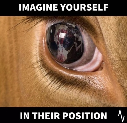 veganfuture's tweet photo. https://t.co/84tjLwg3DG