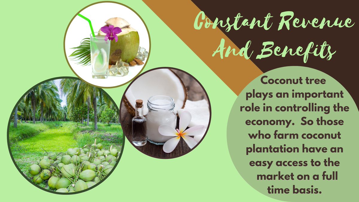 CoconutNFTClub's tweet photo. "Creating more and better jobs is how you build a strong economy." - Karen Handel

#SaturdayMorning #NFT #NFTFam #coconutfarm #coconutgrovefarmersmarket  #farm #farmers #coconutfarm #agriculture #coconut #econut #organic https://t.co/ZwHOZm8J9X
