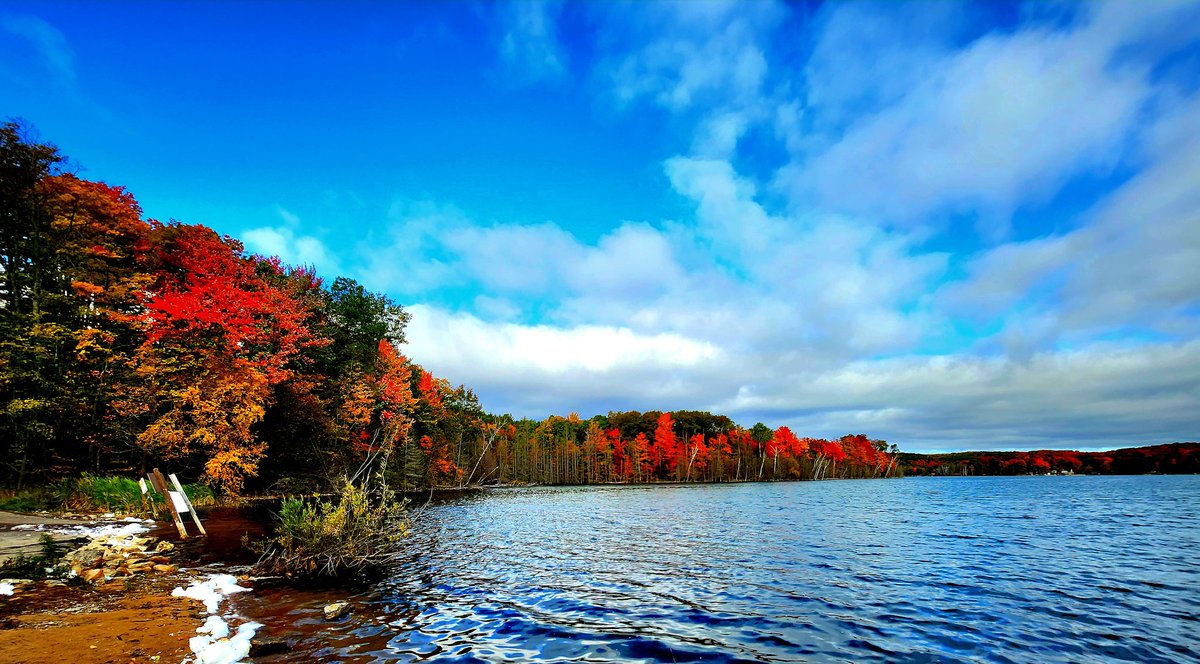 Bryan Beadle tweet media