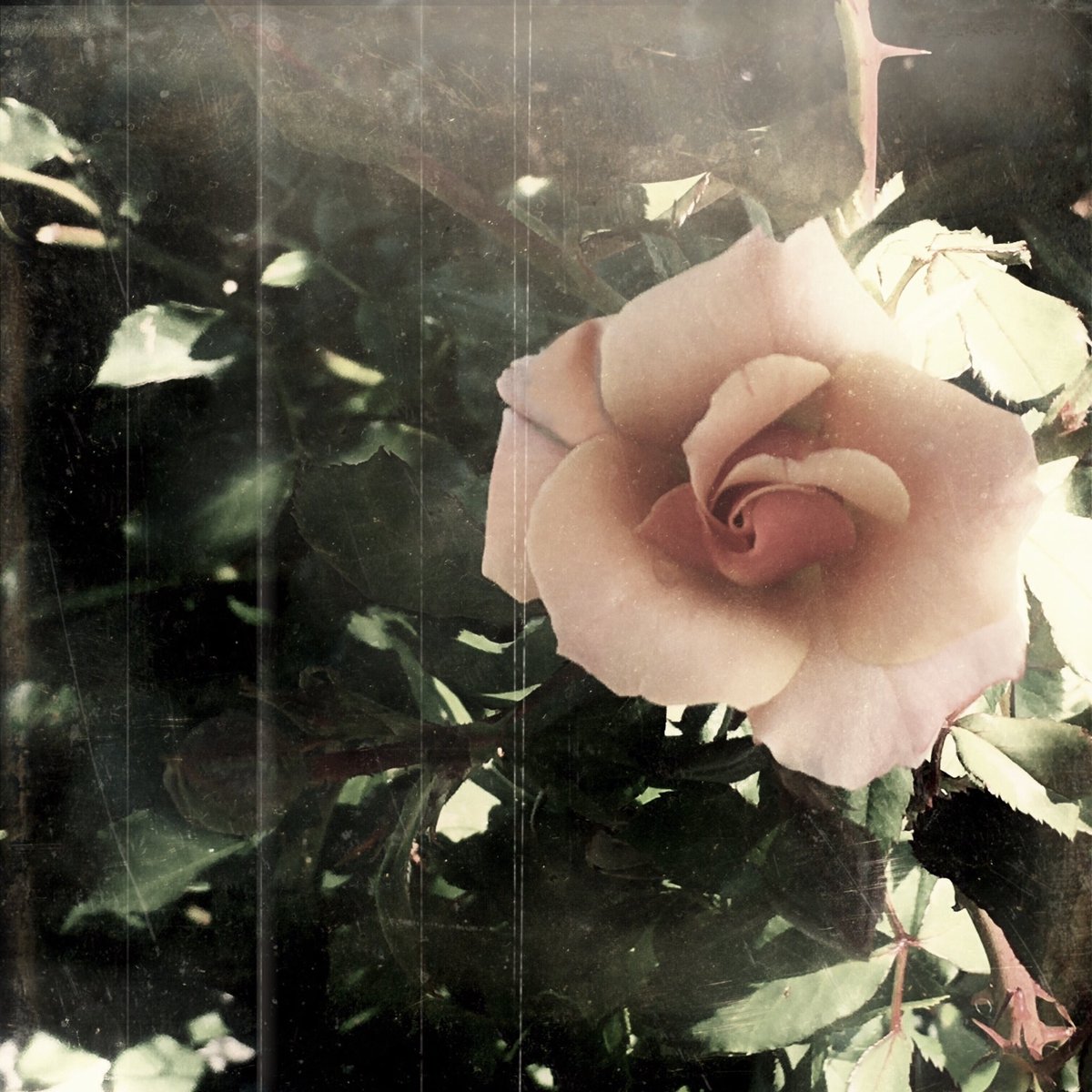 🚶🏻‍♂️Riccardo tweet media