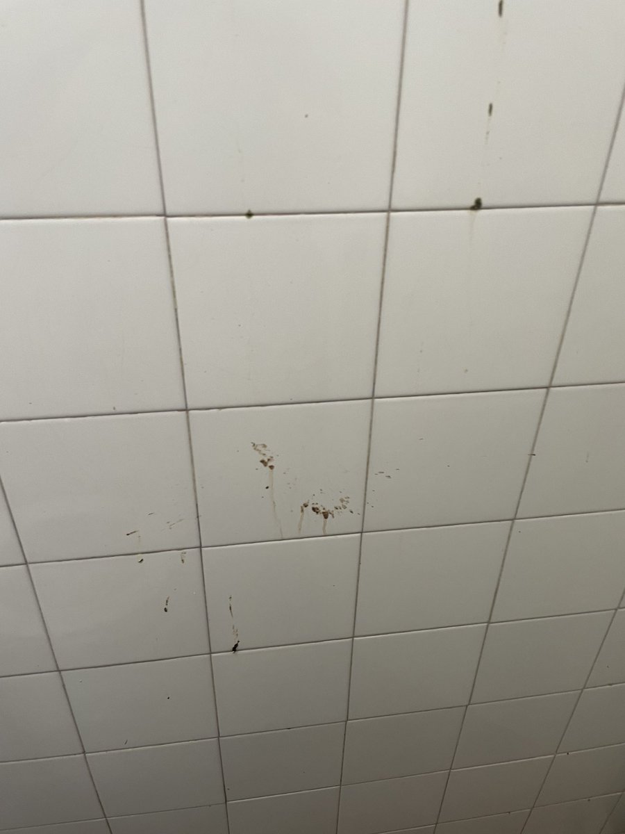 Bbal90's tweet photo. ¿Éstos son los wc que merecemos en el Castalia? ¿También están en estas condiciones los baños de la zona VIP? Nunca han estado perfectos pero lo de este año no tiene nombre, y solo 5 min después de empezar el partido…@AjuntCastello @cdcastellon @GVAsanitat @La_SER @JoseLuisGual https://t.co/pl7AdQ41uw