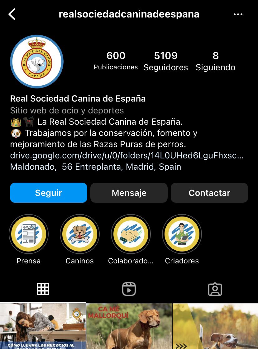 offensiveprank's tweet image. Acabo de inscribir a Mierdón en un certamen canino de belleza