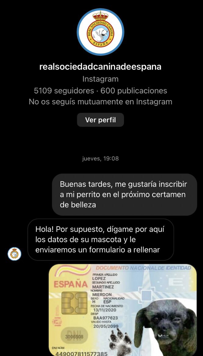 offensiveprank's tweet image. Acabo de inscribir a Mierdón en un certamen canino de belleza