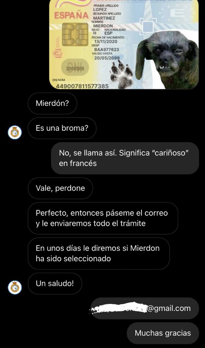 offensiveprank's tweet image. Acabo de inscribir a Mierdón en un certamen canino de belleza