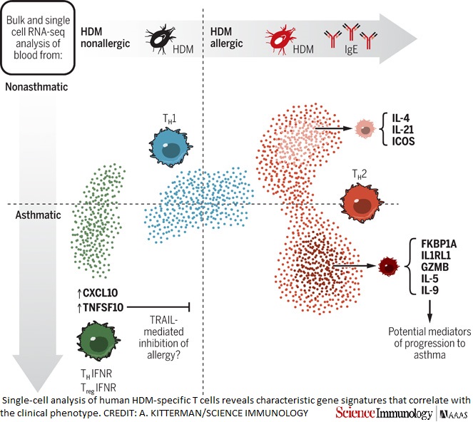 Science Immunology tweet media