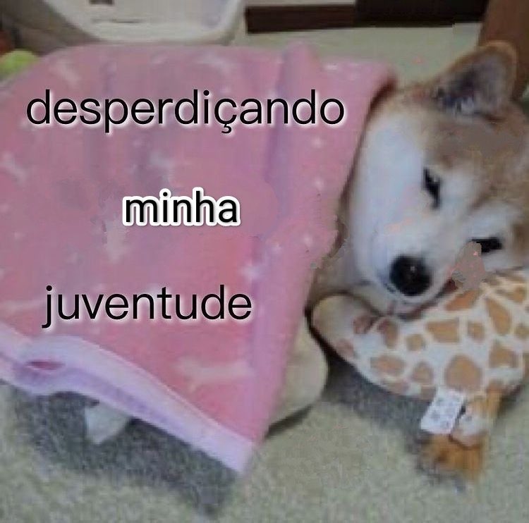 euovitinn's tweet photo. eu hoje https://t.co/CSVzjZRKtD