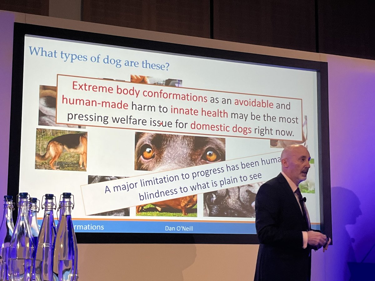 Malcolm Morley tweet media