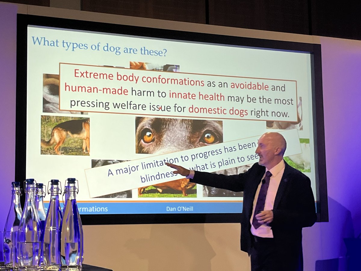 Malcolm Morley tweet media