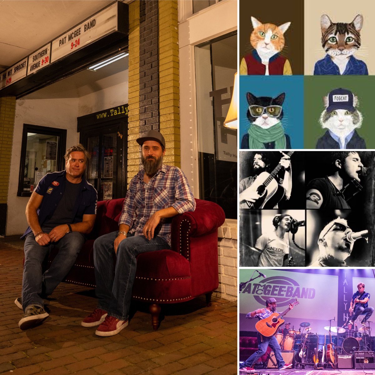 PatMcGee's tweet photo. @NarrowsCenter @FantasticCatUSA @PatMcGee  Saturday, Nov 26 https://t.co/9NXims7gBE FC is like KISS but with 4 cats, not just 1 cat-man. Come see for yourself. Us old dogs are opening the show. https://t.co/h2vDTX38iA