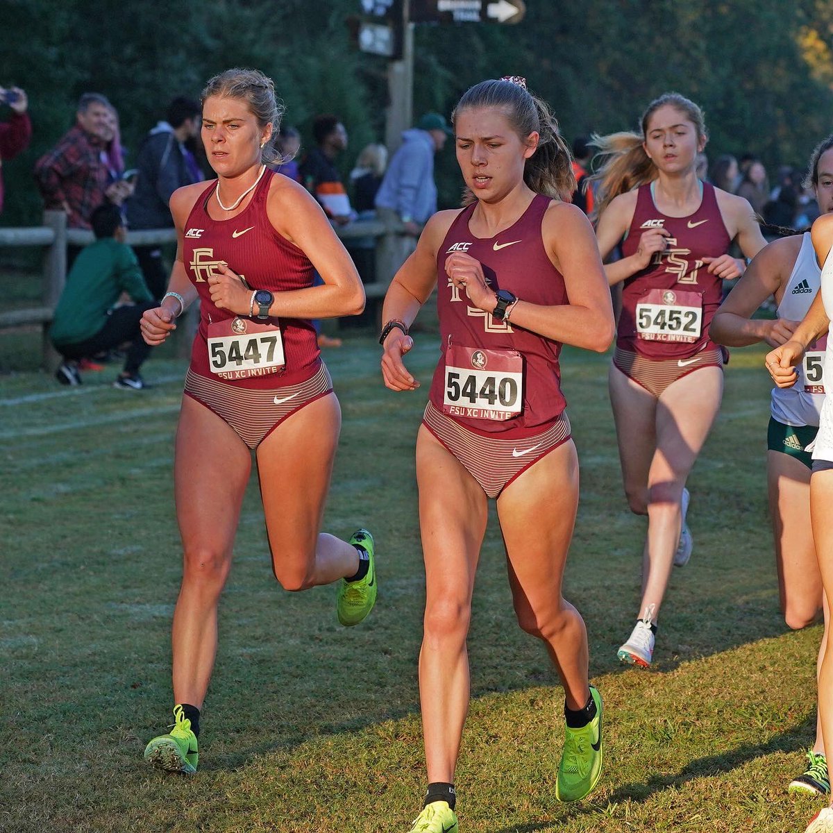 Florida State T&F/XC tweet media