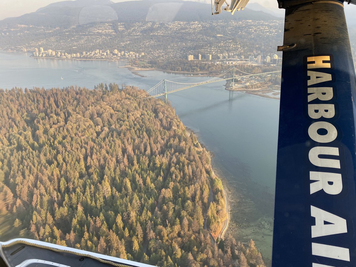 Richard Zussman tweet media