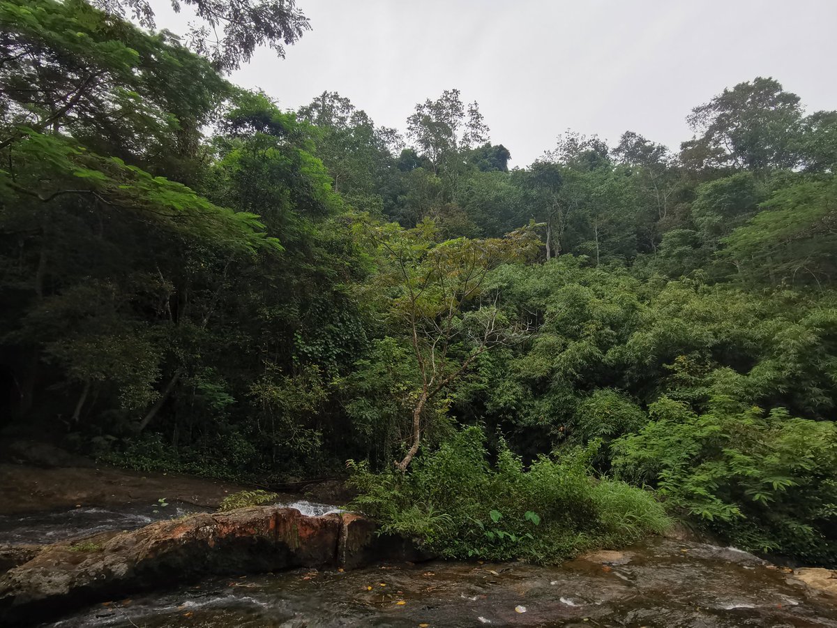 jayshrike's tweet photo. Today we've tried covering as many habitat types as possible in 3 provinces SE of #Bangkok
It was a lot of fun despite a long list of common species missed! 
#GlobalBigDay #birds #globalbirding #WorldMigratoryBirdDay #birding #globalbirdweekend #birdsuniteourworld @global_birding https://t.co/wpnDyo9swL