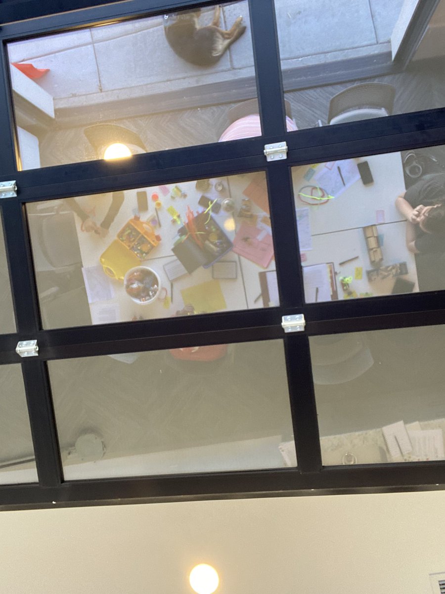 Danielle Maude Littman, PhD (she/her) tweet media