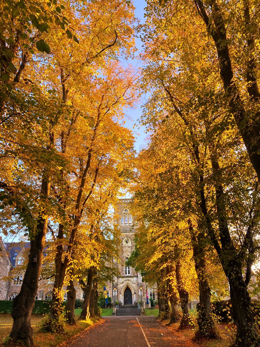 RHSBtower's tweet photo. Beautiful #autumn colours https://t.co/Yb33NQuj66