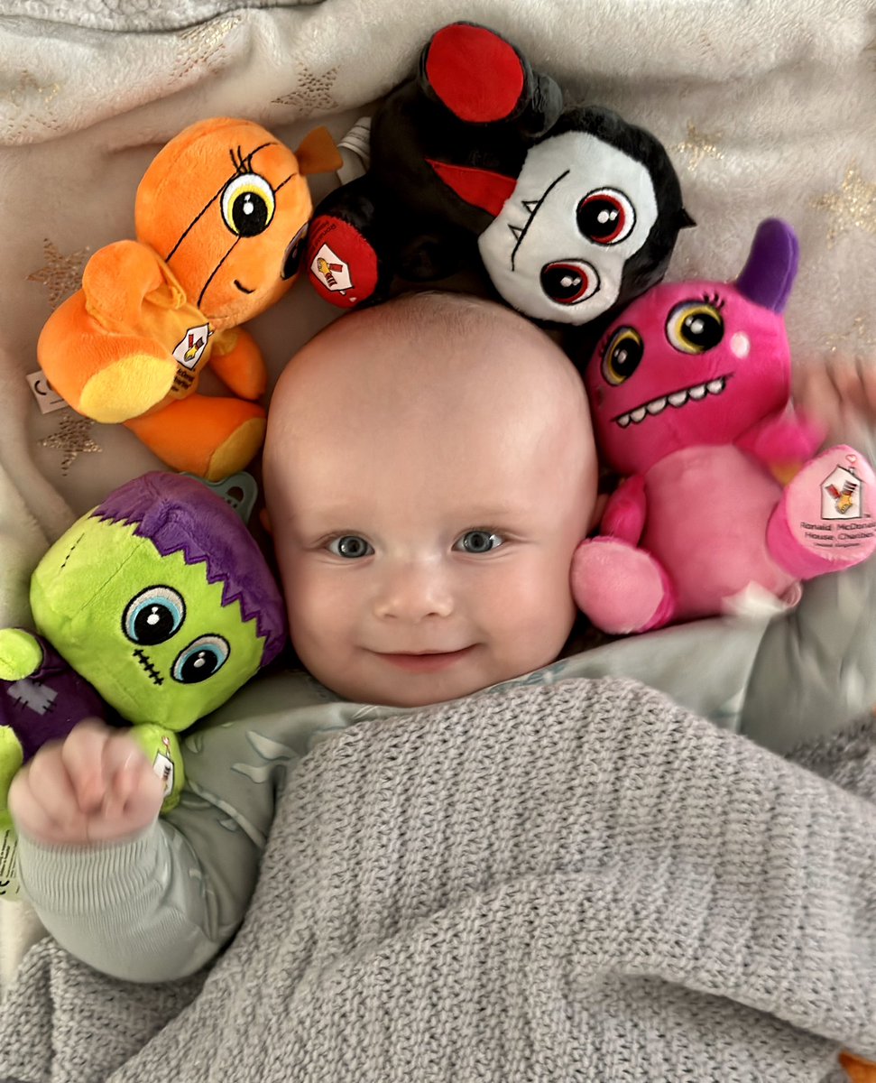 Daniel Rees tweet media