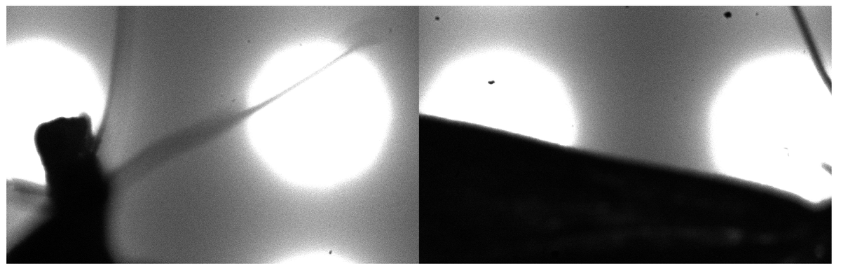 Like when you develop an instrument to capture near-instantaneous high-resolution images of raindrops but also does it for moths.