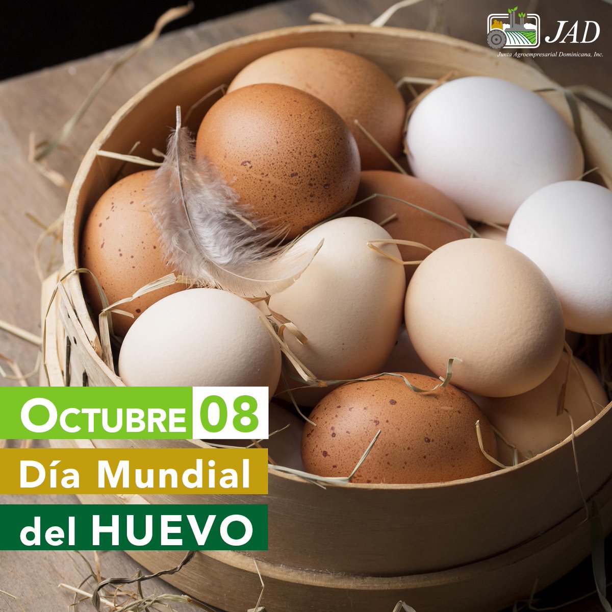 jad_agroempresa's tweet photo. Hoy es el #DiaMundialdelHuevo, una de las principales proteínas de origen animal y un elemento indispensable en la dieta de los dominicanos. 

La #JADFelicita a todos nuestros socios avicultores por llevar a nuestras mesas este alimento. 🥚🍳 https://t.co/mIRbAnvmsB