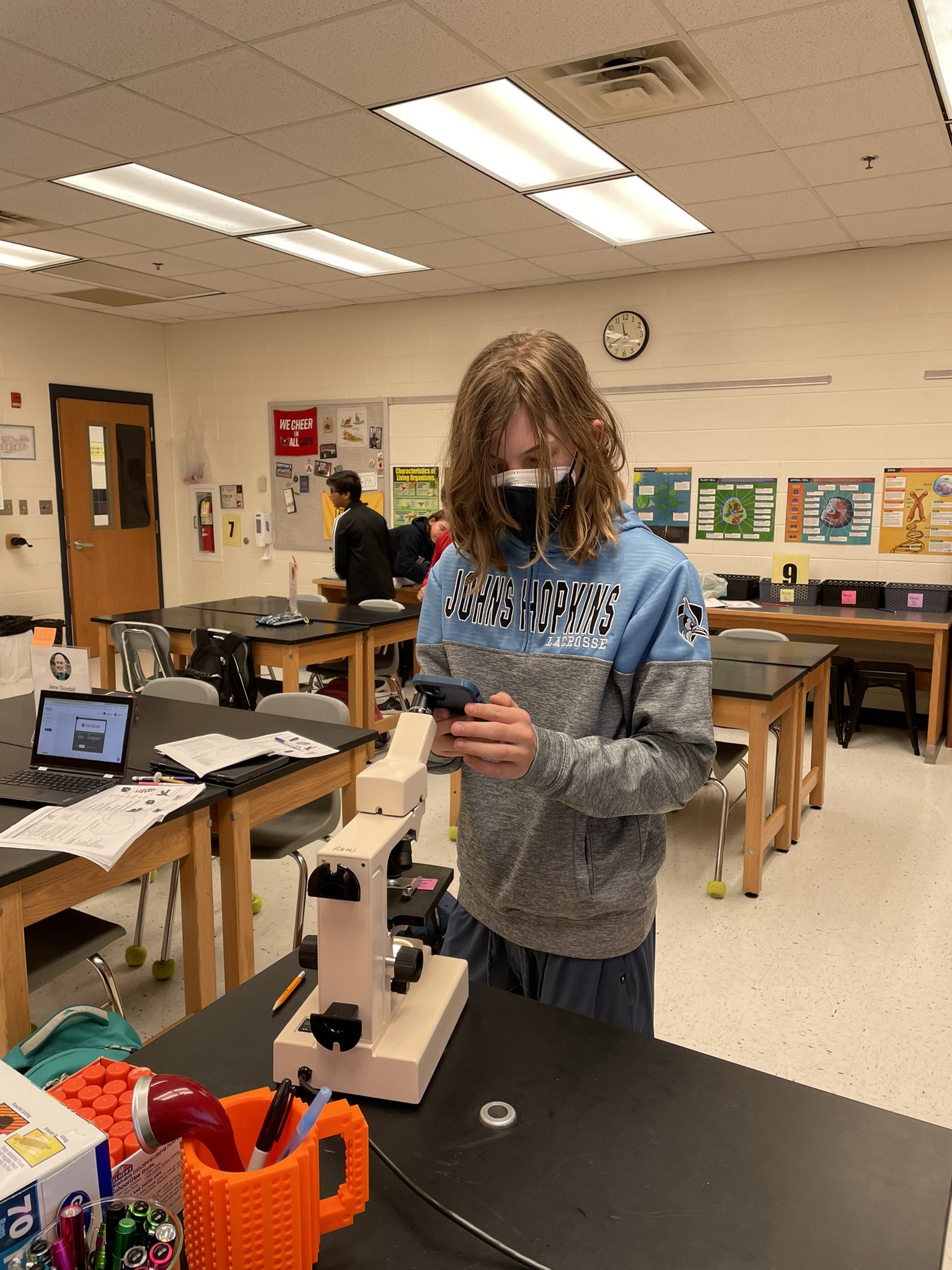 Parentvue Lcps Shocker: What They'Re Not Telling You - gcjega3