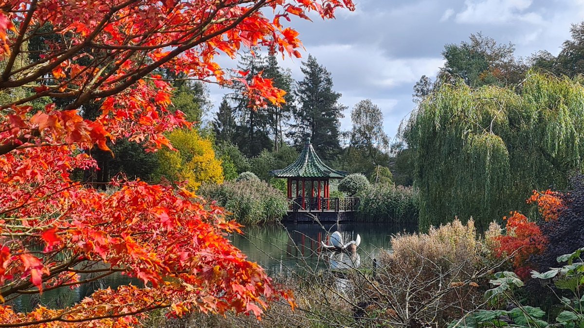 A restorative visit to the Himalayan Sculpture Garden, one of our absolute favourite places to go and relax. Sheltered in a valley in the Dales, it's a tranquil magical wonderland that feels tucked away from the world. @The_Hutts