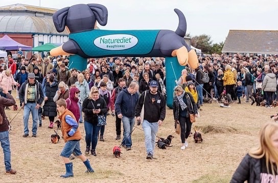 SSW_SausageWalk's tweet photo. We are back! Tomorrow from 9.30am @ The Southwold Harbour! See you &amp; your dachshunds there for a fun-filled morning ! Team SSW 
#SouthwoldSausageWalk https://t.co/ufXnotG2gD