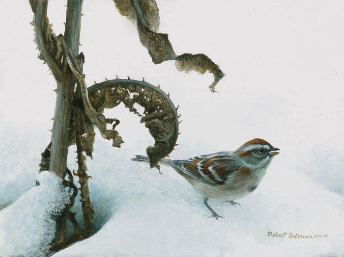 batemanfdn's tweet photo. ๐ฆ Did you know that today is #WorldMigratoryBirdDay? @WMBD encourages everyone to help fight light pollution by dimming their lights for birds. A small act can help them make this journey.
#WMBD2022 #BatemanValues #Conservation #RobertBateman #ArtforNature #Dimlightsforbirds https://t.co/Tb8LOZ5jkz