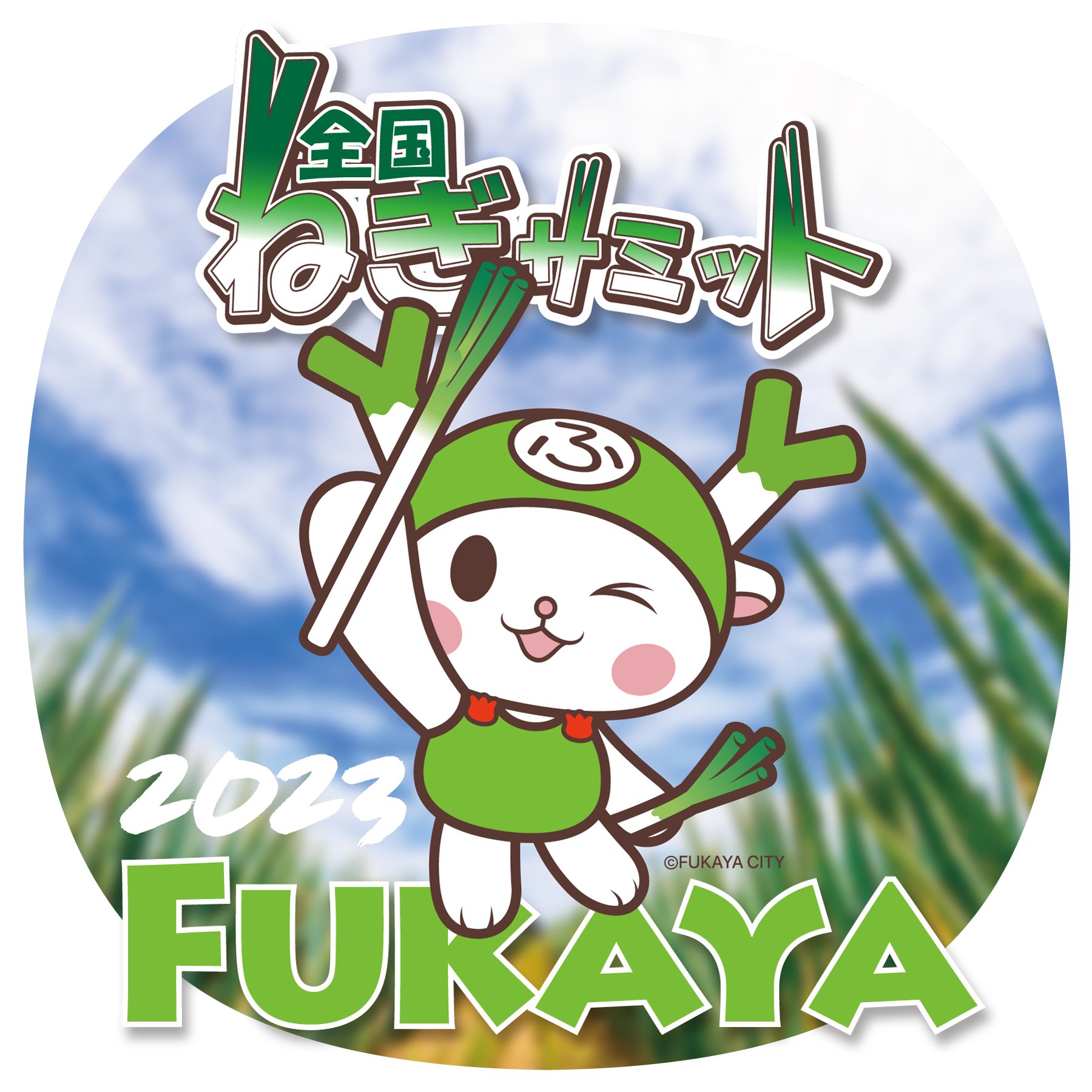 ふっかちゃん様専用 ピンクダイヤモンド ルース | www.codipsa.com.py