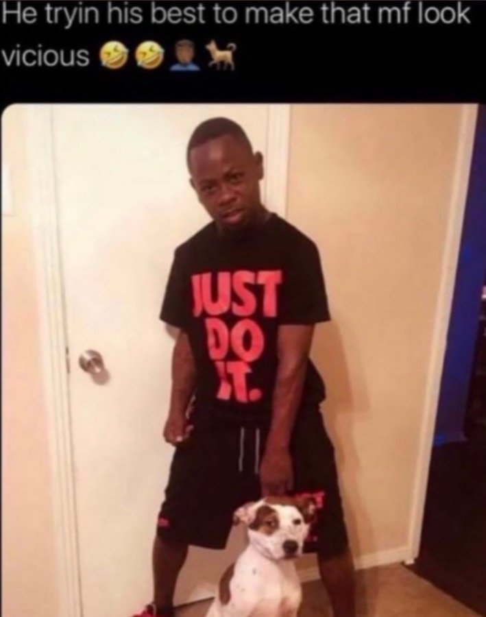 mvpbrodie tweet media