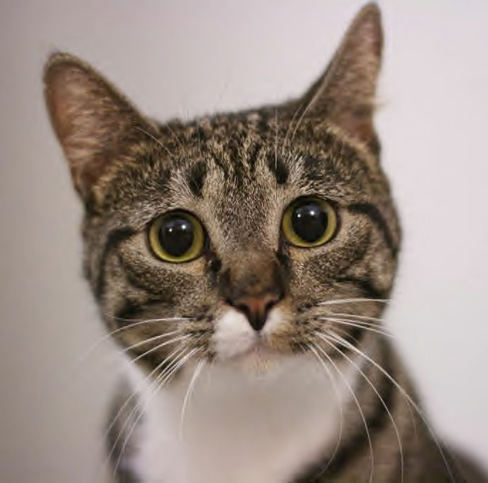 chamiteux's tweet image. Bonjour,  dire :  pose mais enlève aussi très souvent mes tweets et réponses et ça fait des blancs,le sais,c&apos;est comme ça , ici c&apos;est de &quot;l&apos;instant&quot; ,ne collectionne rien et &quot;ne fait pas un almanach&quot; ,et  garde juste un peu, merci de votre compréhension , 
bien a vous tous,🙂