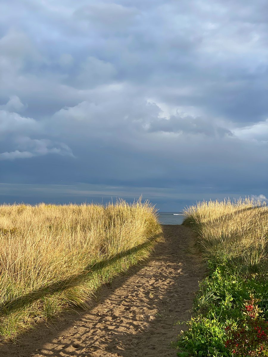 martindelaney's tweet photo. Chasing the light #rainbowhaven #halifax https://t.co/GPJ4ZxjeZl
