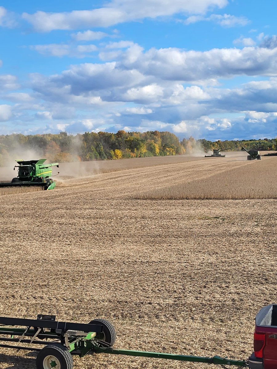Gorgeous day to continue bean harvest. #ontag #harvest22