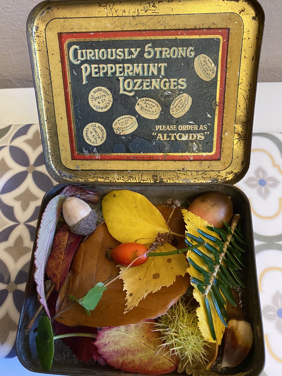 AnnaBlume15's tweet photo. I love doing this, inspired by @tanyashadrick at our writers retreat last weekend in Cornwall. #dartmoor #autumn #keepsakes in little tins 🧡 https://t.co/6XenCybC91