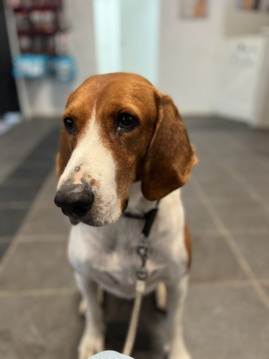 Kari M. Erstad tweet media